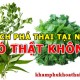 cách phá thai tại nhà (tự nhiên) bằng mẹo dân gian